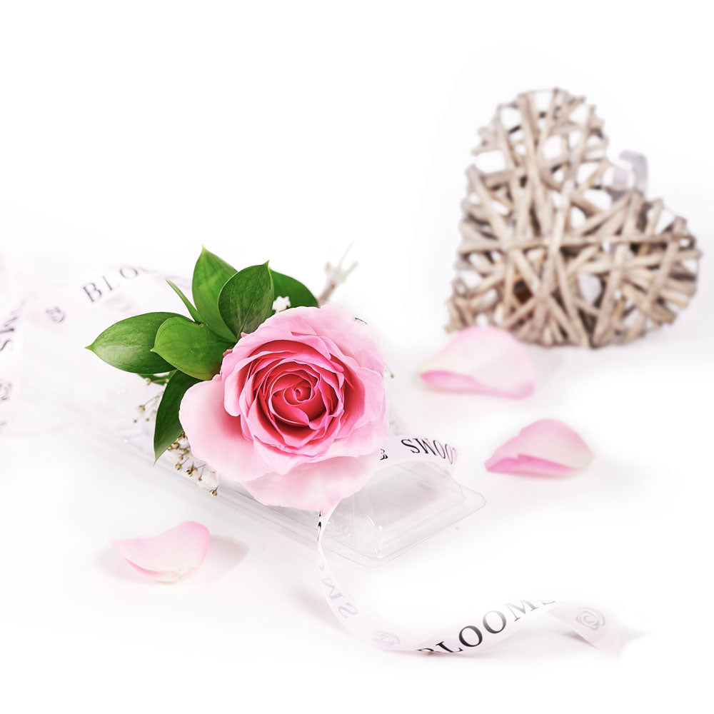 Mother's Day Single Pink Rose - Mother's Day Gifts - Connecticut Delivery