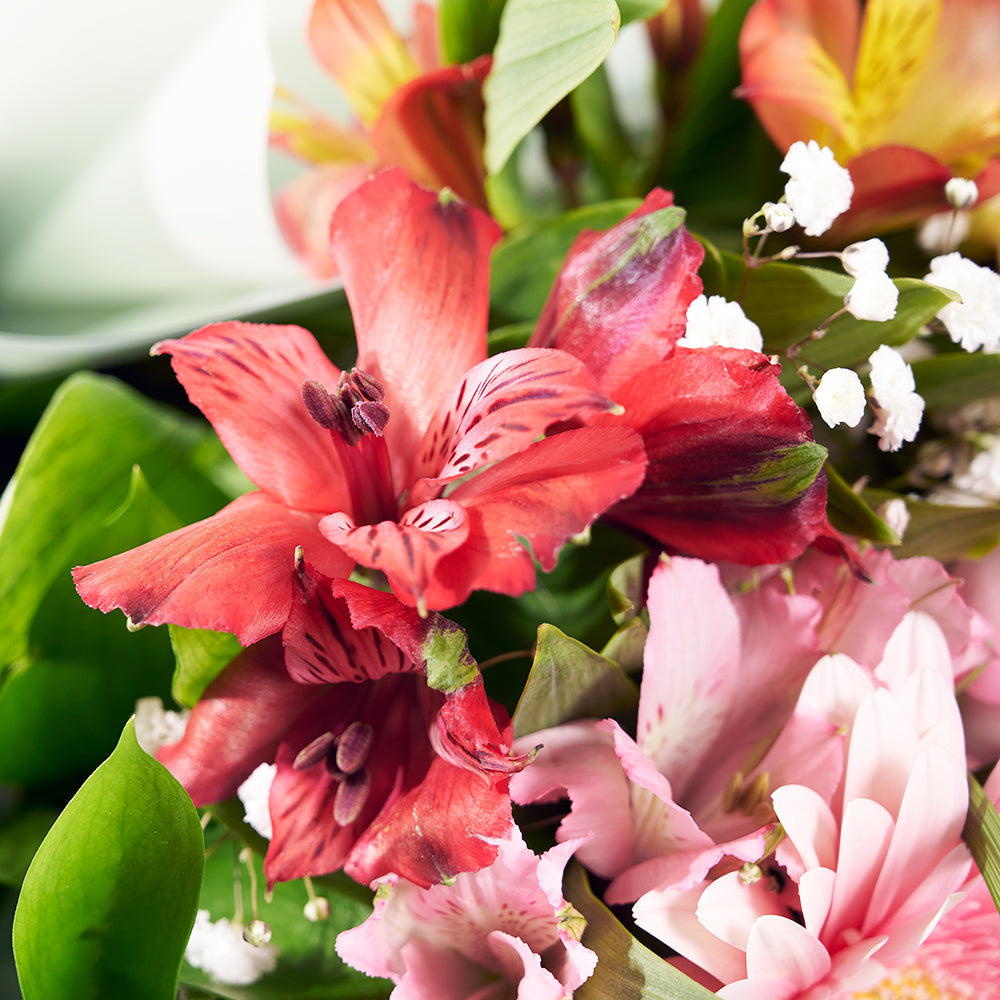 Parisian Brilliance Peruvian Lily Bouquet from Connecticut Blooms - Mixed Flower Gift - Connecticut Delivery.