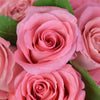 Pink Glow Box Rose Set from Connecticut Blooms - Flower Hat Box - Connecticut Delivery.