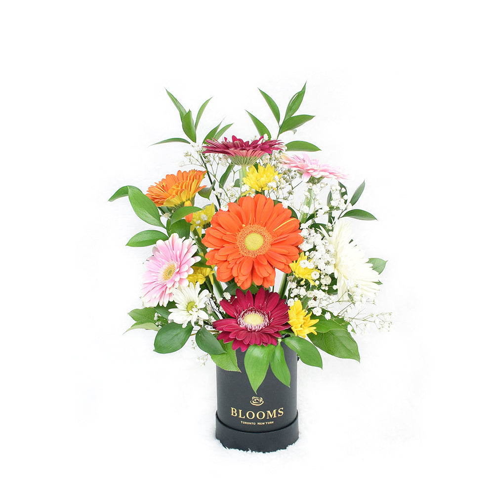 Pops of Cheer Mixed Floral Centerpiece - Floral Gift - Connecticut Delivery