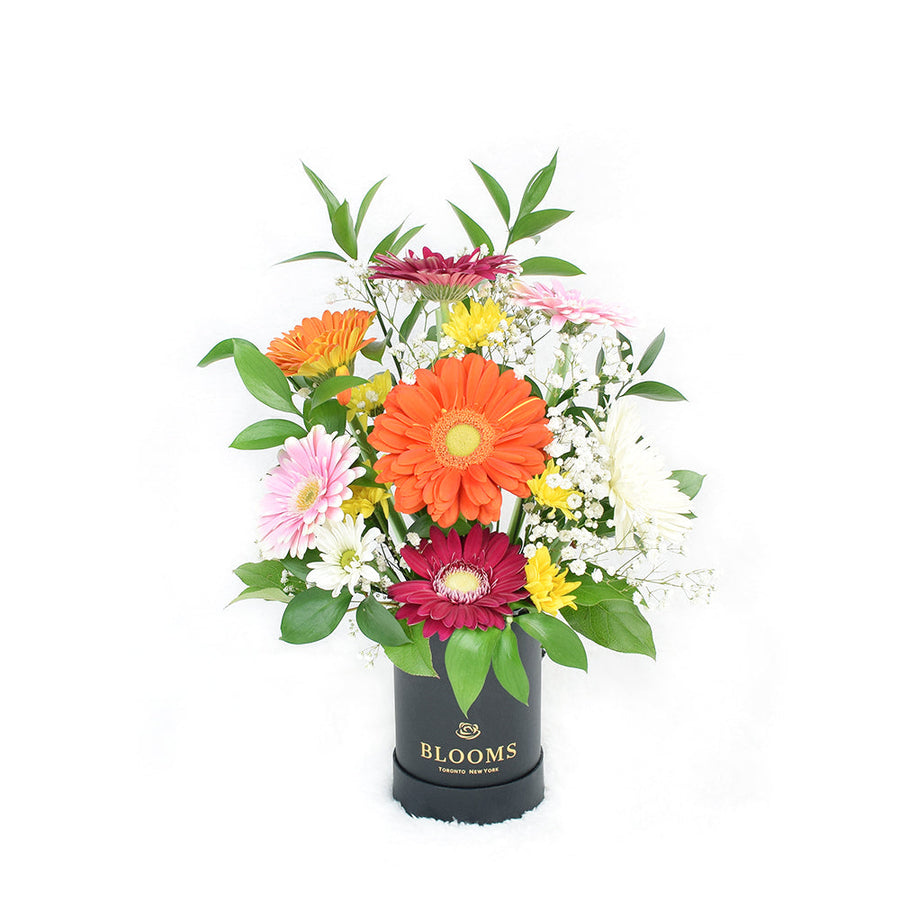 Pops of Cheer Mixed Floral Centerpiece - Floral Gift - Connecticut Delivery