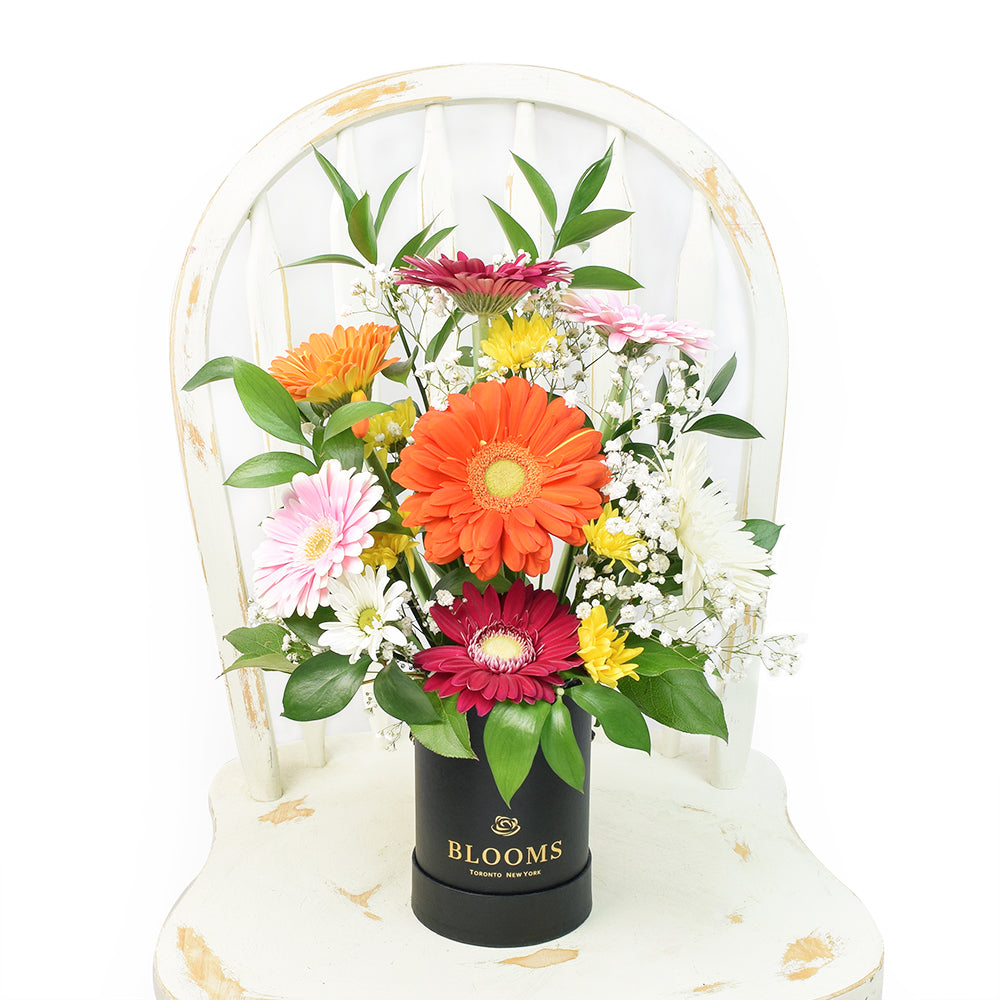 Pops of Cheer Mixed Floral Centerpiece - Floral Gift - Connecticut Delivery