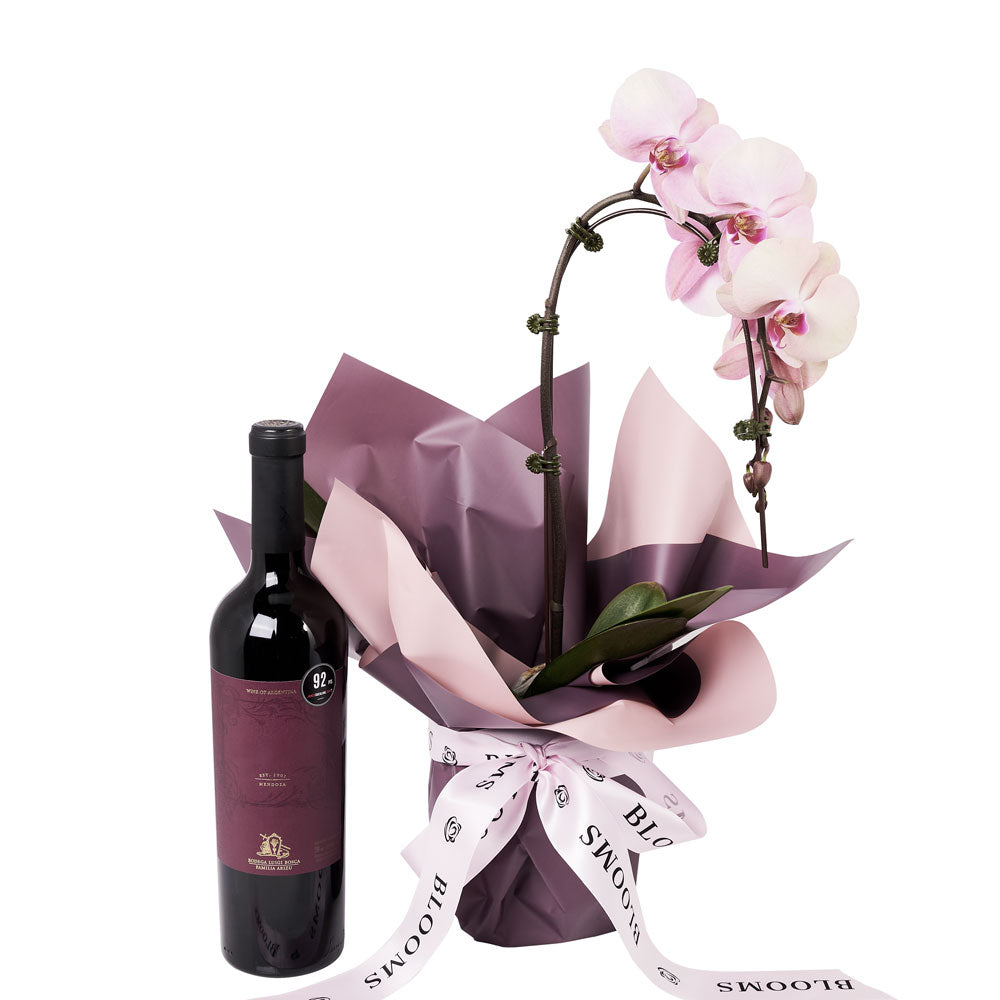 Pure &amp; Simple Flowers &amp; Wine Gift - Orchid Plant and Wine Gift Set - Connecticut Delivery