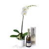 Pure & Simple Flowers & Champagne Gift - Orchid Plant and Champagne Gift - Connecticut Delivery