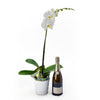 Pure & Simple Flowers & Champagne Gift - Orchid Plant and Champagne Gift - Connecticut Delivery