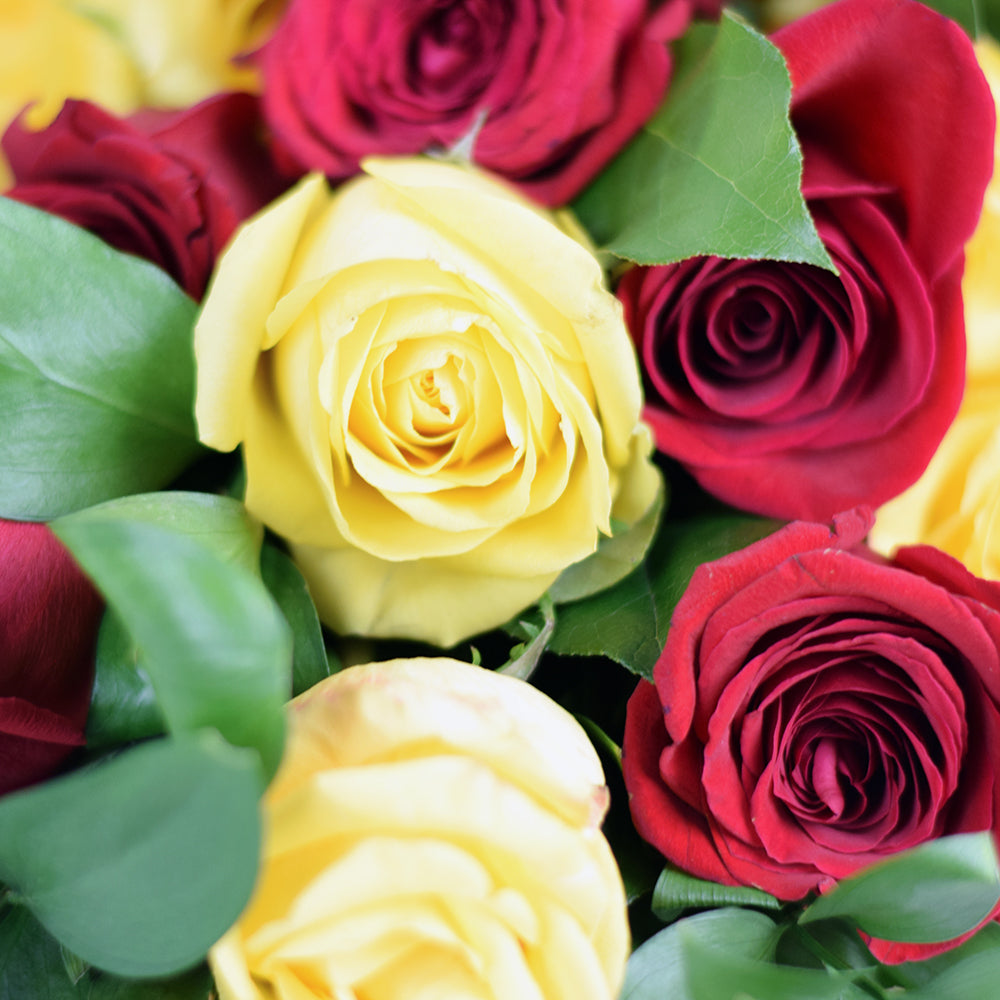 Raspberry Ripple Mixed Rose Bouquet from Connecticut Blooms - Mixed Flower Gift - Connecticut Delivery.
