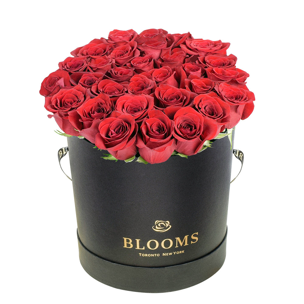 Red Vibrancy Box Rose Set - Flower Gift - Connecticut Delivery