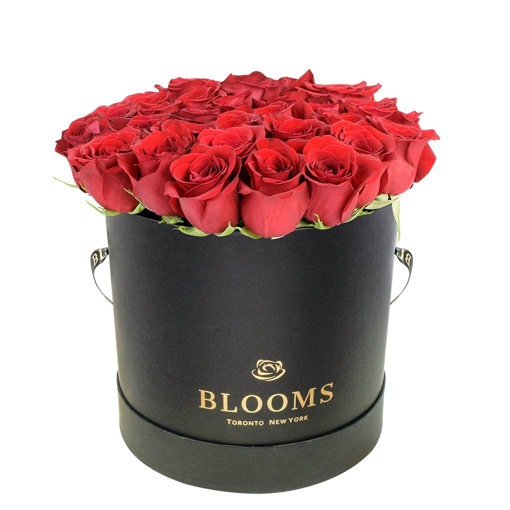 Red Vibrancy Box Rose Set - Flower Gift - Connecticut Delivery