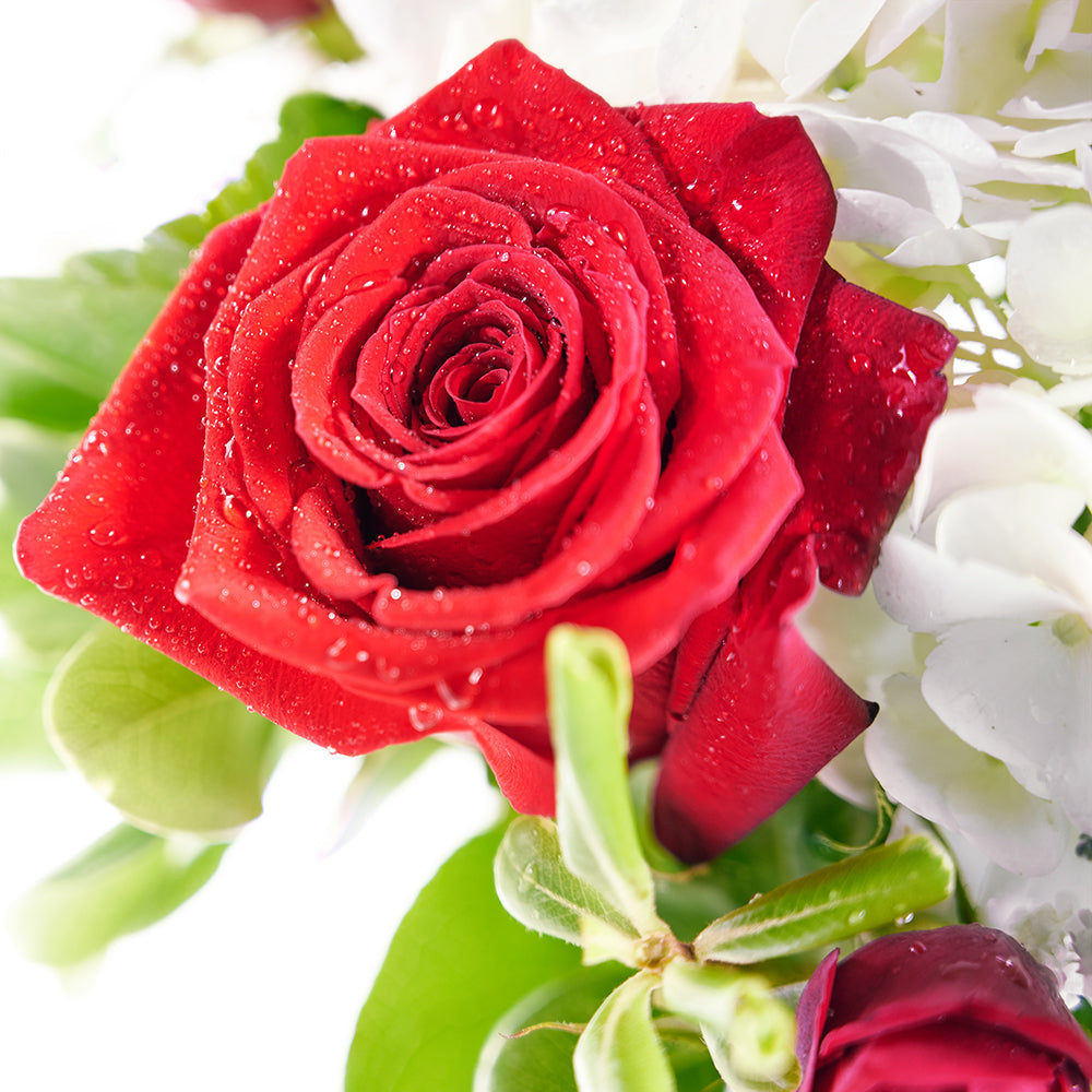 Rose and Hydrangea Vase with Wine - Wine Gift Set - Connecticut Delivery