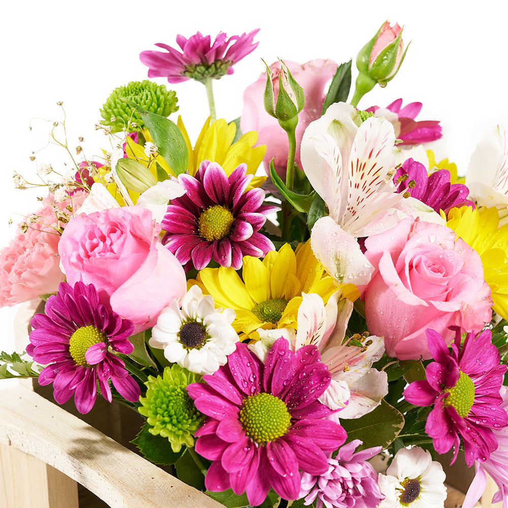 Slice of Nature Garden Chair - Mixed Flower and Chair Gift Set - Connecticut Delivery