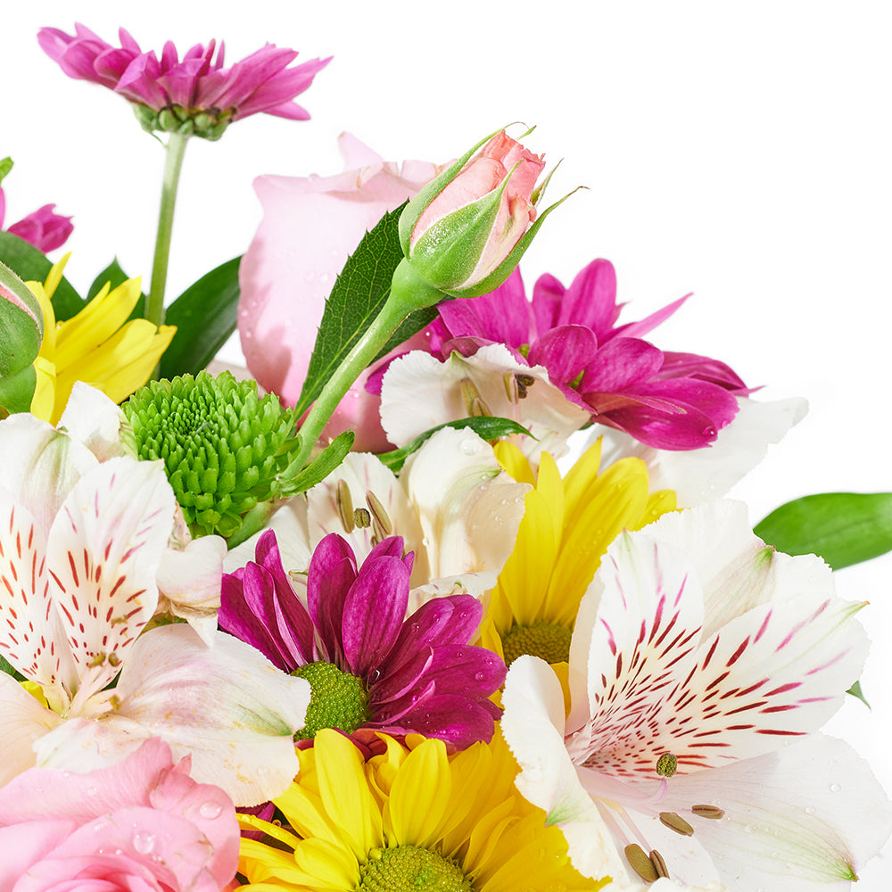 Slice of Nature Garden Chair - Mixed Flower and Chair Gift Set - Connecticut Delivery