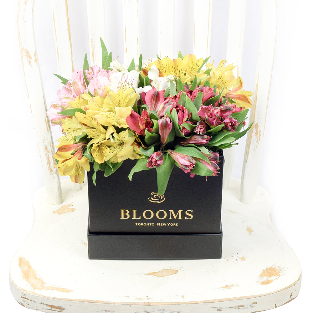 Spring Bloom Peruvian Lily Hat Box from Connecticut Blooms - Box Flower Set - Connecticut Delivery.