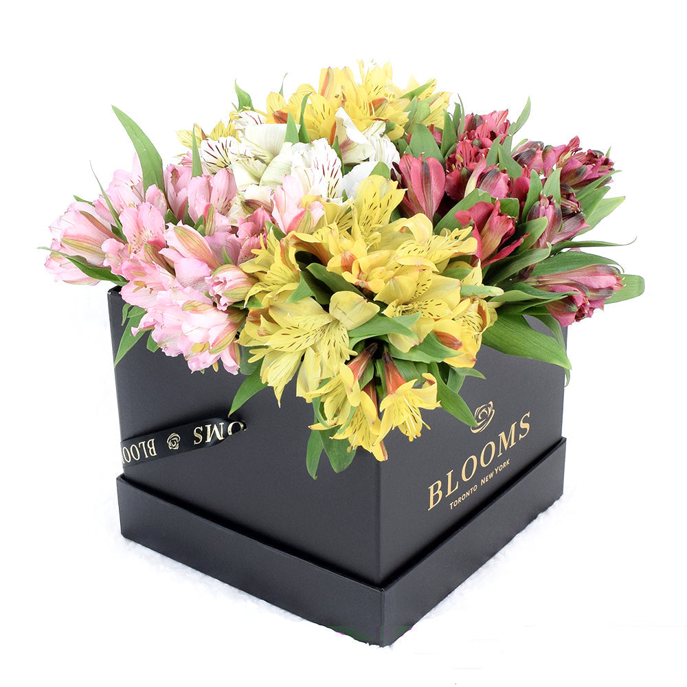 Spring Bloom Peruvian Lily Hat Box from Connecticut Blooms - Box Flower Set - Connecticut Delivery.