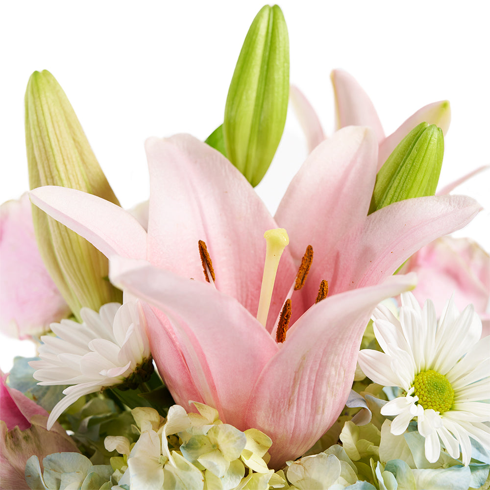 Spring Forth Mixed Floral Gift - Mixed Floral Arrangement Hat Box - Connecticut Delivery
