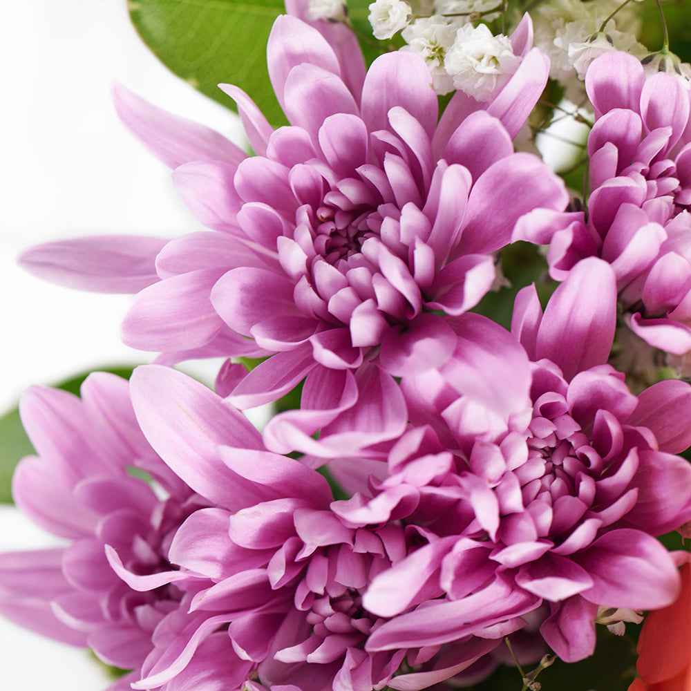 Spring Rose & Lily Arrangement – Floral Gifts – Connecticut delivery