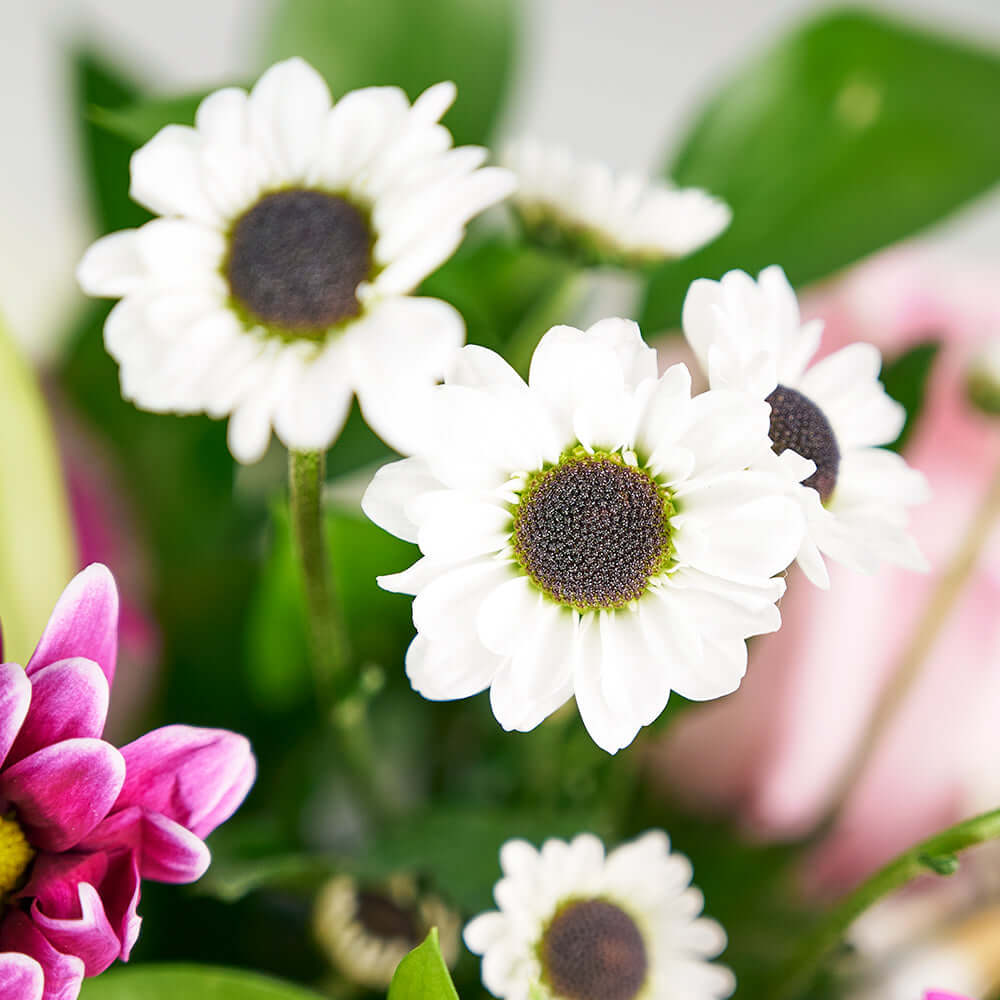 Suddenly Spring Mother’s Day Floral Gift - Mother's Day Gifts - Connecticut Delivery