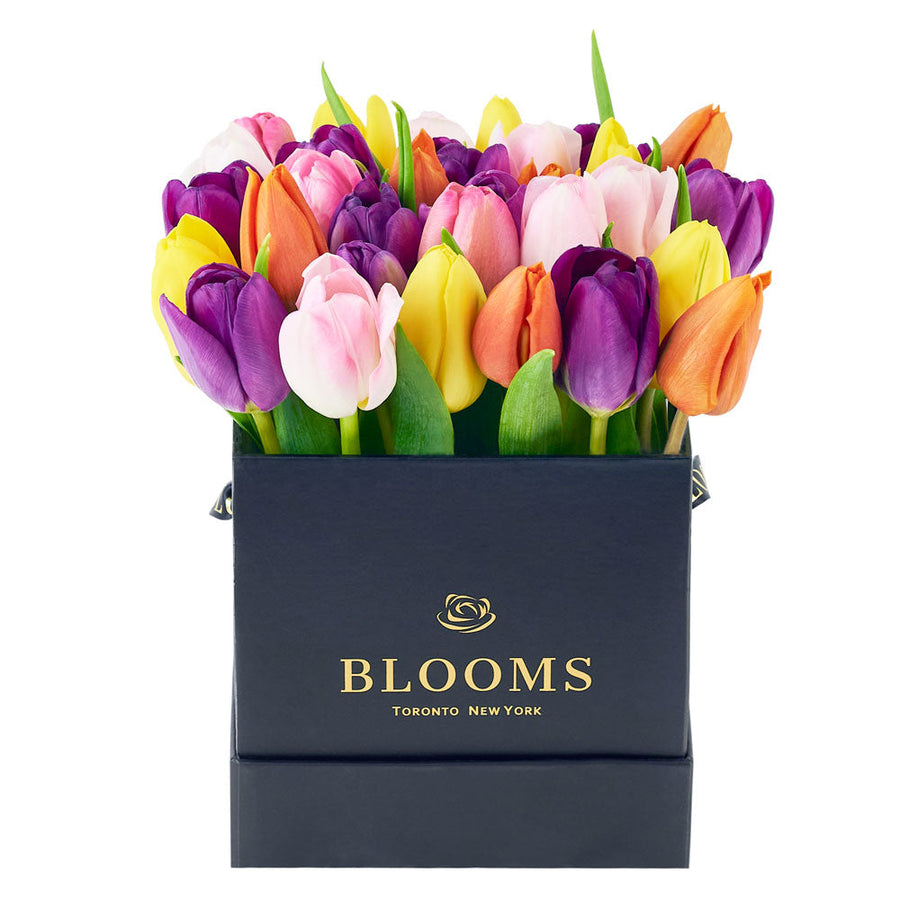 Spring Fling Tulip Arrangement - Floral Gift Box - Connecticut Delivery