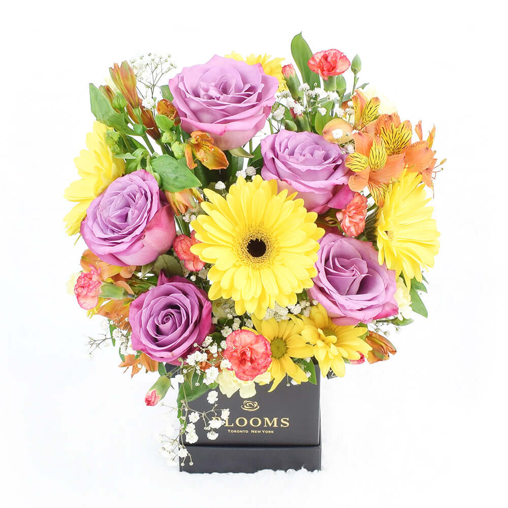 Summer Dreams Mixed Arrangement ring in the grand celebration and grace every special occasion with their undeniable charm.  Connecticut Delivery