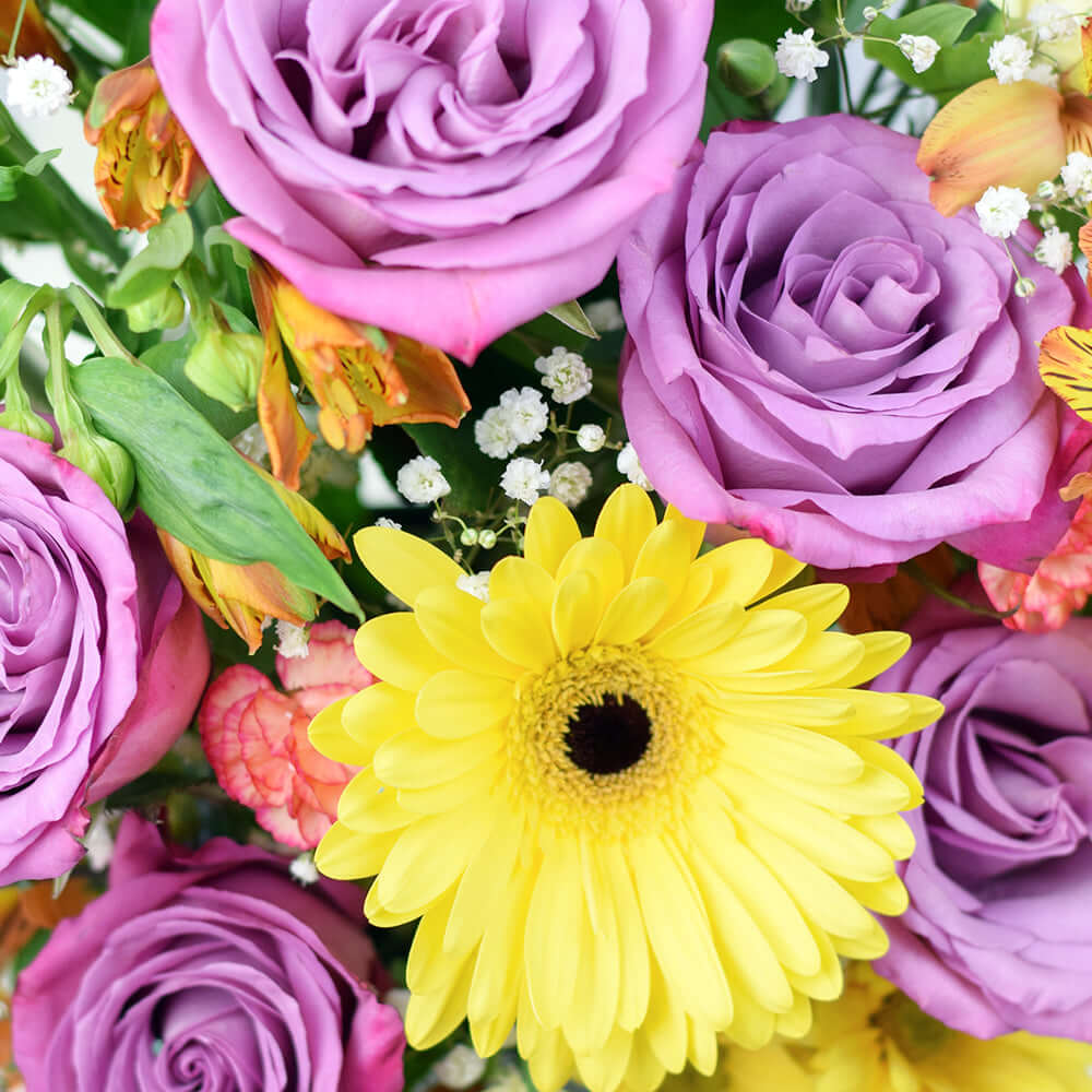  Summer Dreams Mixed Arrangement ring in the grand celebration and grace every special occasion with their undeniable charm.  Connecticut Delivery