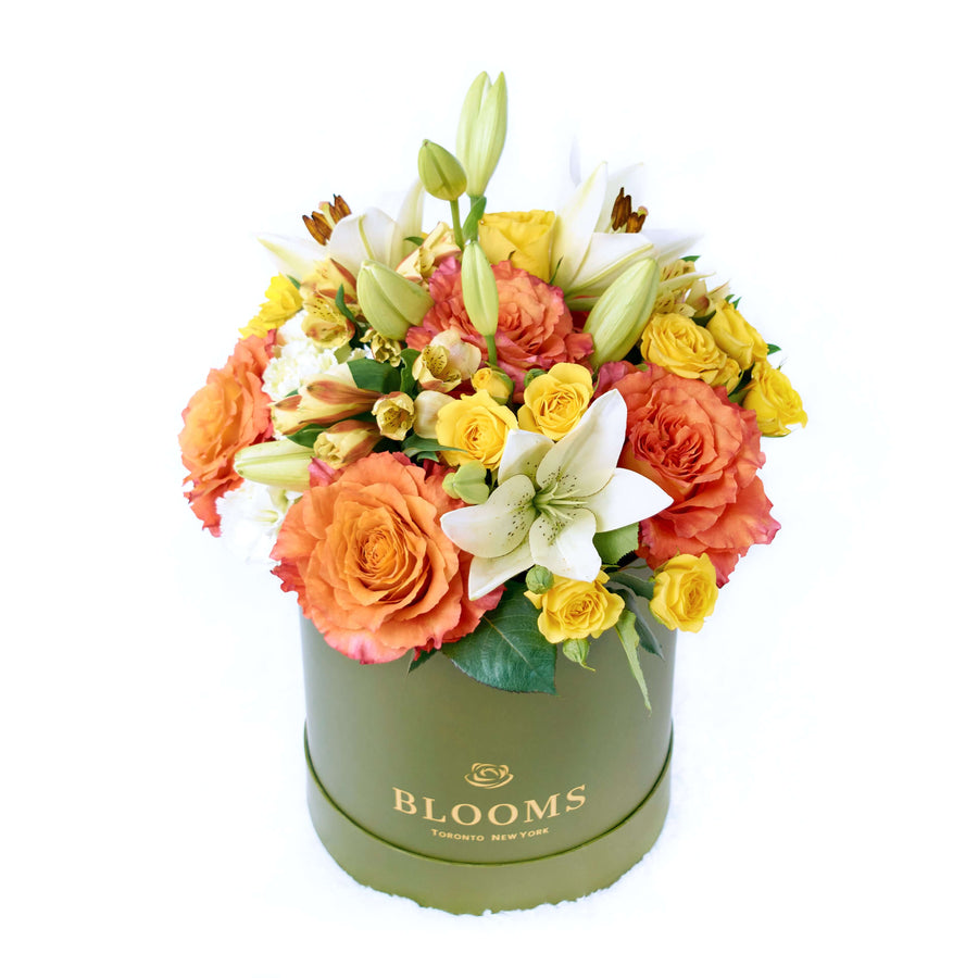 The Summer Glow Mixed Arrangement features a selection of beautiful roses, lilies, daisies, alstroemeria and carnations in a sleek designer box – ready to be delivered to your loved ones on any special occasion.  Connecticut Delivery