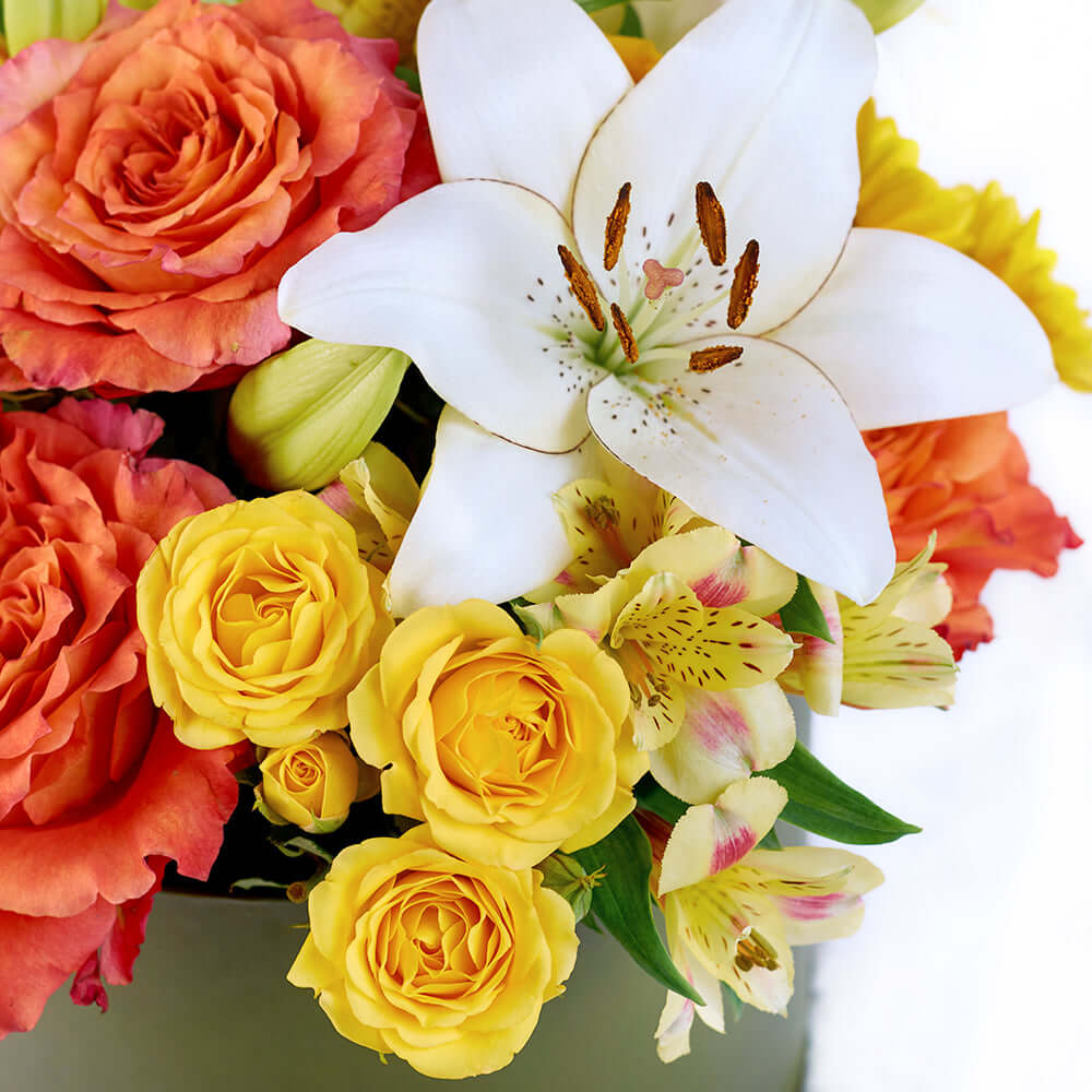 The Summer Glow Mixed Arrangement features a selection of beautiful roses, lilies, daisies, alstroemeria and carnations in a sleek designer box – ready to be delivered to your loved ones on any special occasion.  Connecticut Delivery