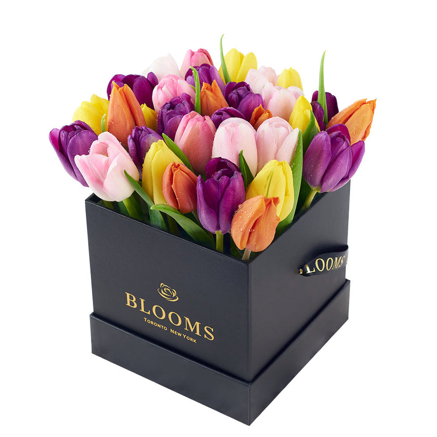 Spring Fling Tulip Arrangement - Floral Gift Box - Connecticut Delivery