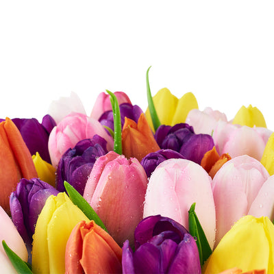 Spring Fling Tulip Arrangement - Floral Gift Box - Connecticut Delivery