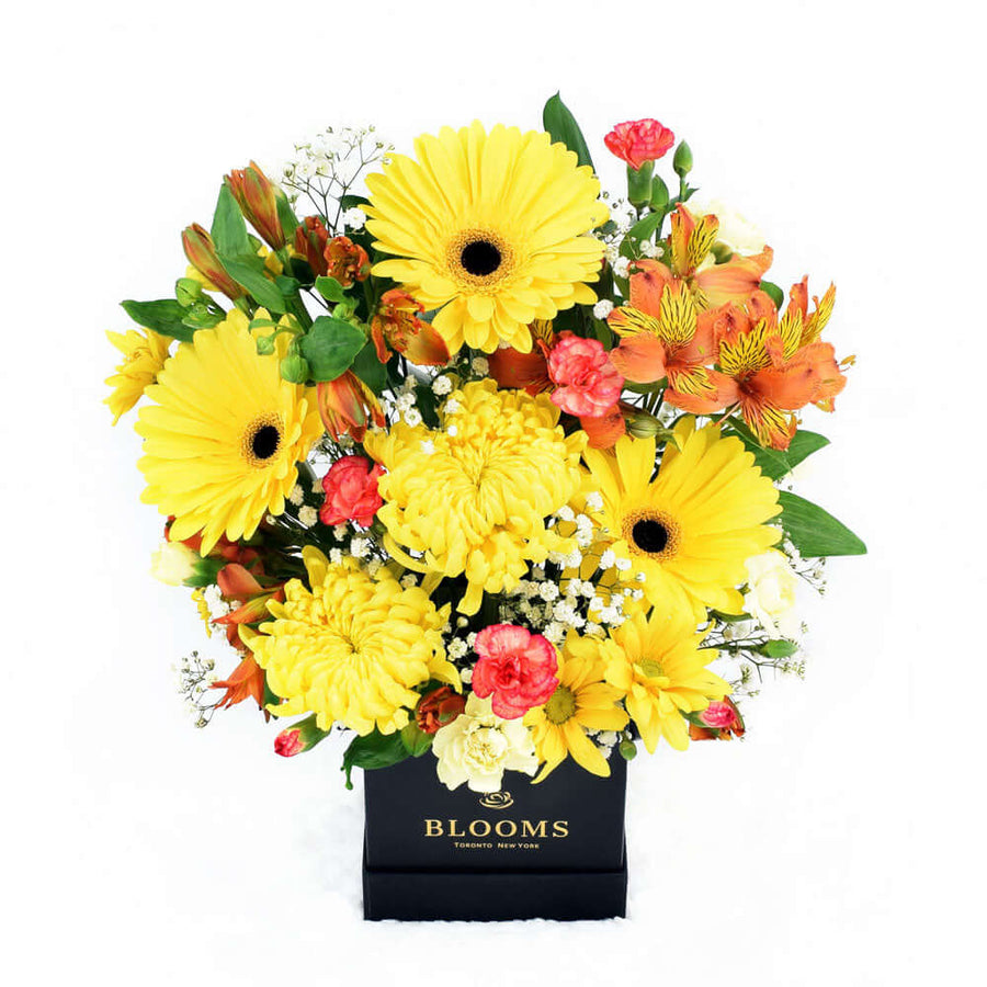 Sunrise Mixed Floral Arrangement - Flower Gift - Connecticut Delivery