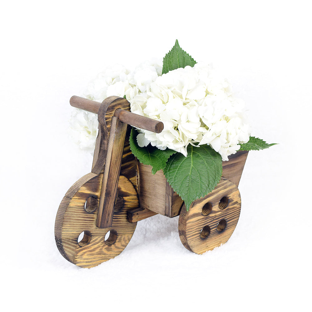 Rustic Wooden Bicycle Planter with White Hydrangea Bouquet – how the gift is presented