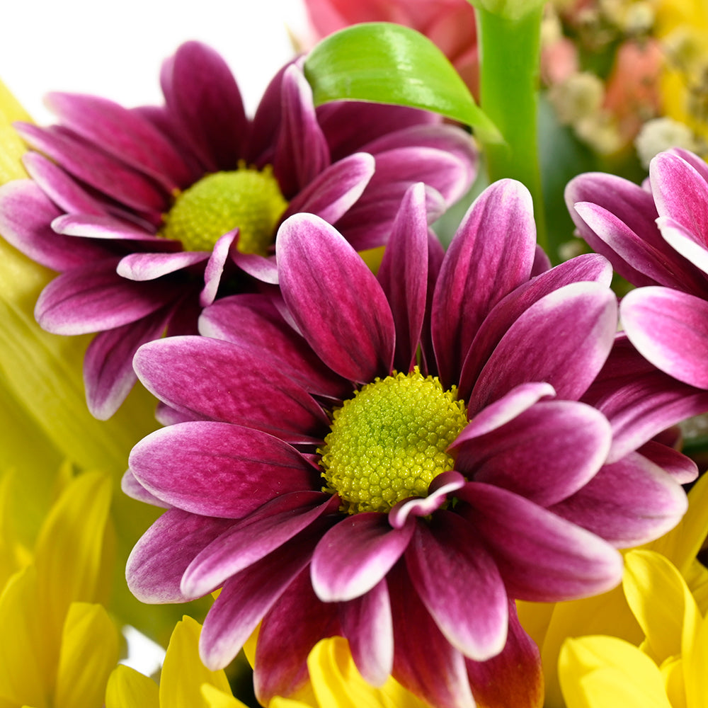 The Best Mother's Day Floral Gift - Wooden Planter Mix Floral Gift Basket - Connecticut Delivery