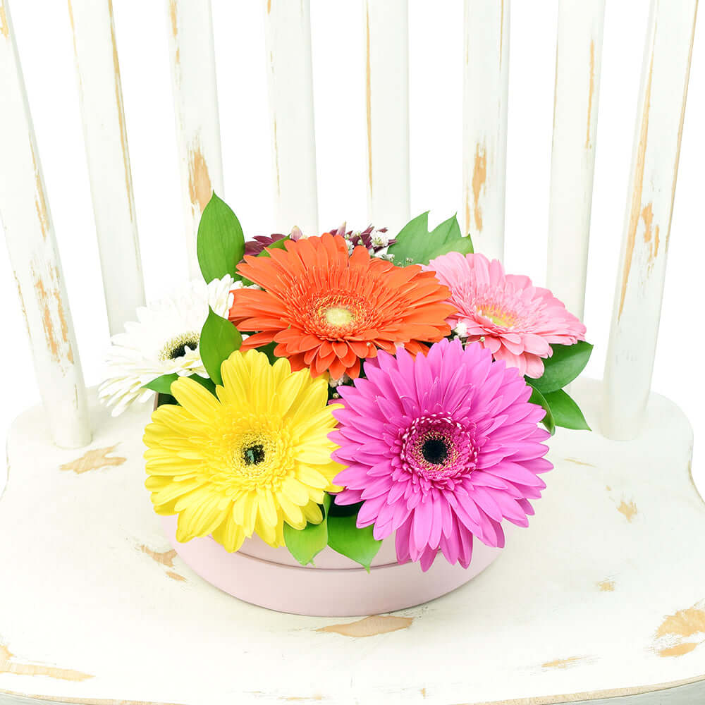 Vivacious Daisy Arrangement - Connecticut Delivery